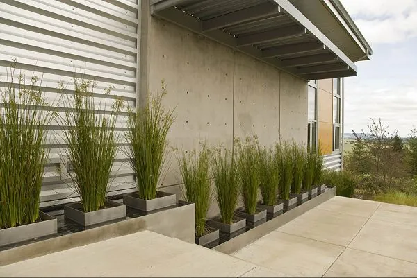 Modern landscaping with grass