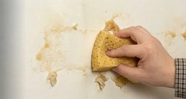 a person holding a sponge in his hand and clearing the residue
