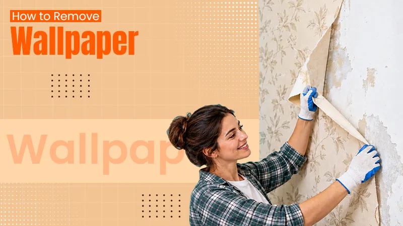 How to Remove the Wallpaper? Easy Methods, Wallpaper Types, and Common Wallpaper Removal Mistakes
